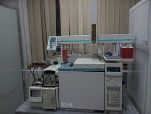 Газовый хроматограф Agilent 6890 N с масс-селективным детектором Agilent 5973 N и пламенно-ионизационным детектором (США) Газовый хроматограф Agilent 6890 N с масс-селективным детектором Agilent 5973 N и пламенно-ионизационным детектором (США)